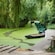 A waterway covered in green algae winding through a verdant forest